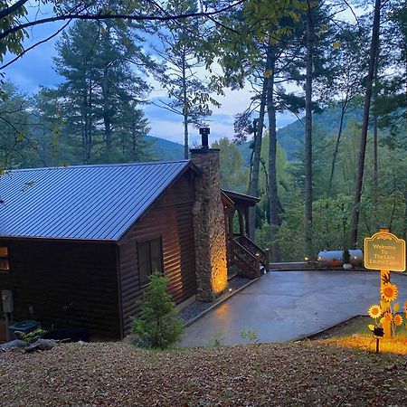 Vila The Cozy Lazy Laurel With Year-Round Mountain Views, Hot Tub, Fire Pit Cherry Log Exteriér fotografie