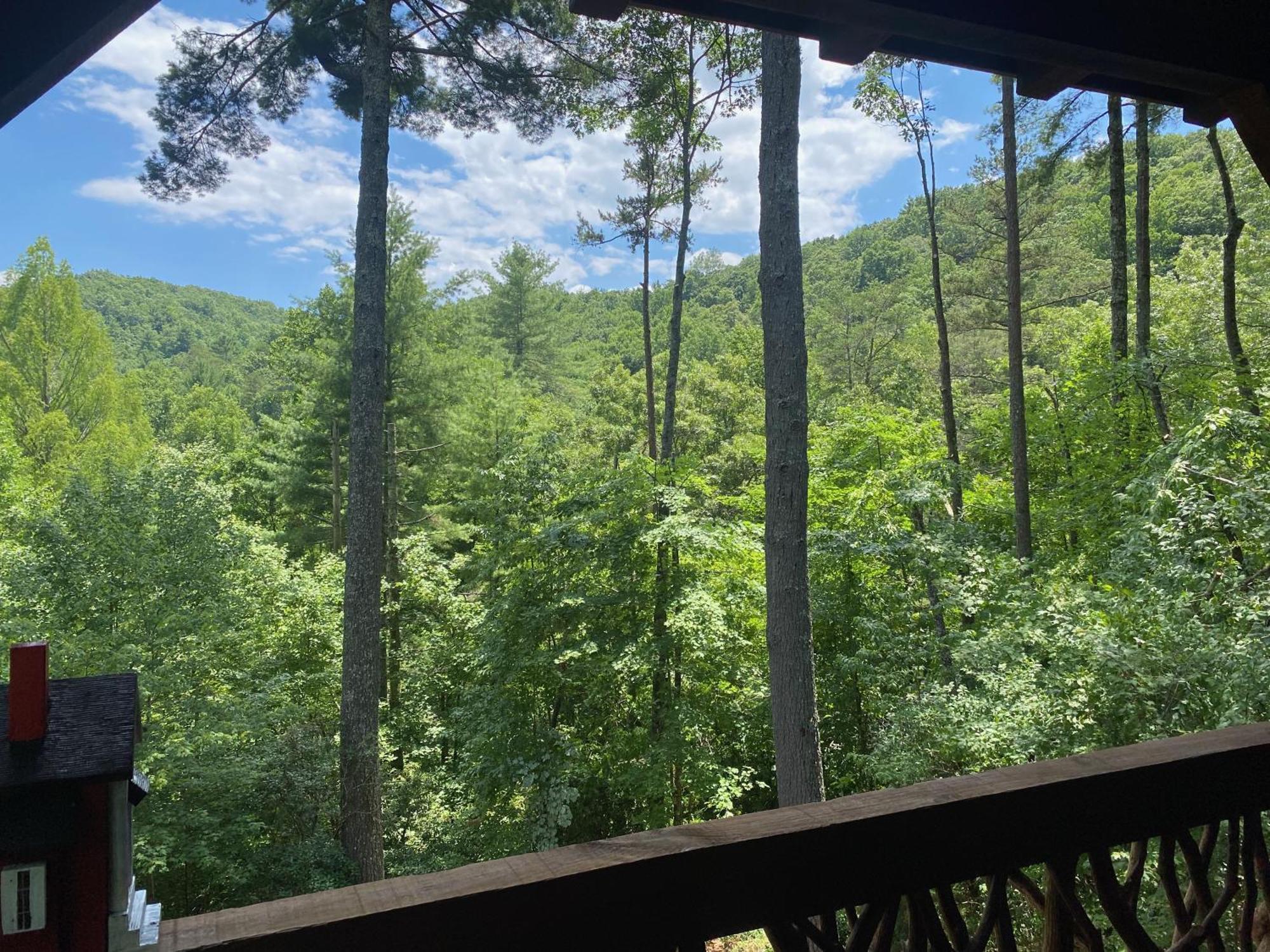 Vila The Cozy Lazy Laurel With Year-Round Mountain Views, Hot Tub, Fire Pit Cherry Log Exteriér fotografie