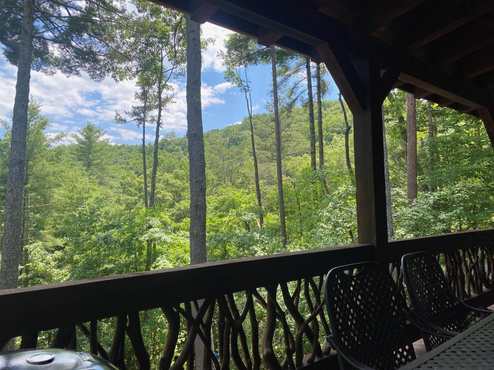 Vila The Cozy Lazy Laurel With Year-Round Mountain Views, Hot Tub, Fire Pit Cherry Log Exteriér fotografie